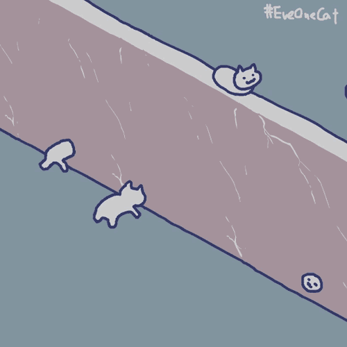 小猫动图表情包gif魔性