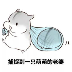 小仓鼠表情包