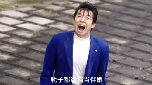 改革春风吹满地版我是大哥大,鬼畜与各种表情包