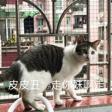 我的收藏