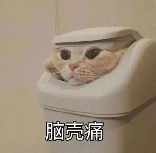 好物丨讲真,今天没有这个四件套,我拒绝滚床单