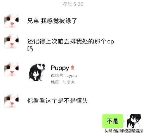 怎样提高聊天成功率聊天技巧分享笑出表情包,精彩又有趣