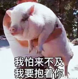 泉哥照片泉哥相册大全yy官方