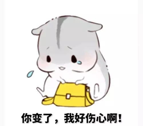 啊进进去了的表情包带你去