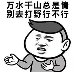 坑表情包
