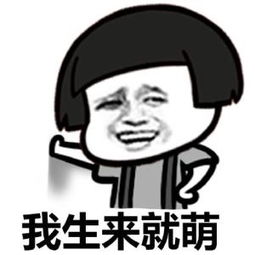 据说考完cma大家是这八种状态,全中
