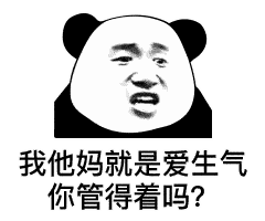 它是熊不是猫