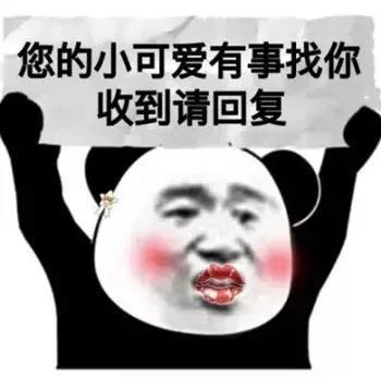 搞笑表情包理我一下可以吗