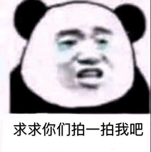 希望拍我的人没事