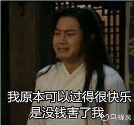 关于泰国涛岛考潜水证,那个学校比较好