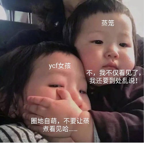我的收藏