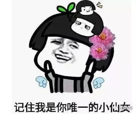 淮滨去香港做胎儿性别鉴定谐富科技