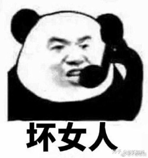 有哪些适用于和女生聊天开场白的表情包