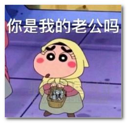 肌肉小熊表情包不识好歹