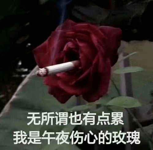 给男朋友发了性感照片之后...他居然说哈哈哈