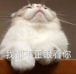 微信聊天常用动画表情转发