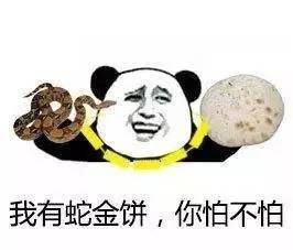 上海现奇葩乞讨方式,不给钱就掰断你雨刷你咋不抢呢