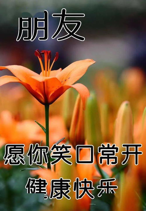 12月17日最漂亮早上好动态表情图片大全,早晨好动图美图大全