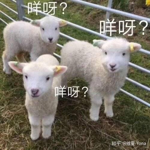 小朋友你是否有很多的问号