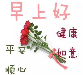 早晨安好不要明天再努力,只有努力过完今天的人才有明天,早安