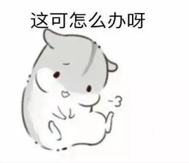 仓鼠无水印表情包,再闹把你卖了买糖吃