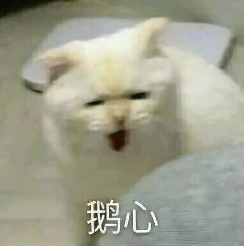 拿走这组的表情包,从此节操是路人表情包
