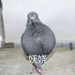都说了不能被找到了的微博微博