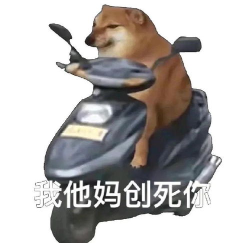 暴躁表情包我他妈创死你系列表情包