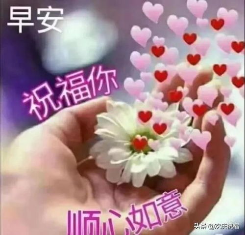 1月24日清晨早安问候语表情图片,2020漂亮早上好问候语