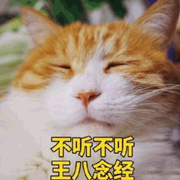 问了一位上了100节私教健身课的美食博主,教你边吃还能边瘦