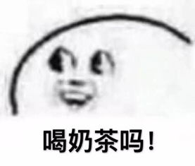 新生季每人限领一份郑大小石器反套路手册