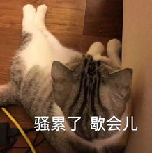 华为首款升降手机上手红米855大概也长这样
