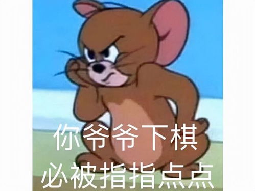 有你的照片表情包猫和老鼠