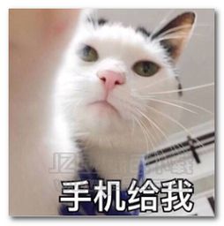 真他妈让人害怕表情图片真他妈让人害怕表情包完整版jz5u绿色下载站