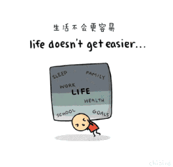 哼表情包gif只有你