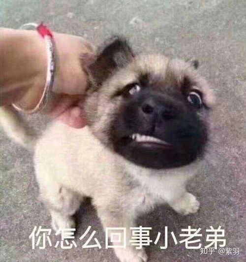 请问怎么才能让客户跟随自己去看房