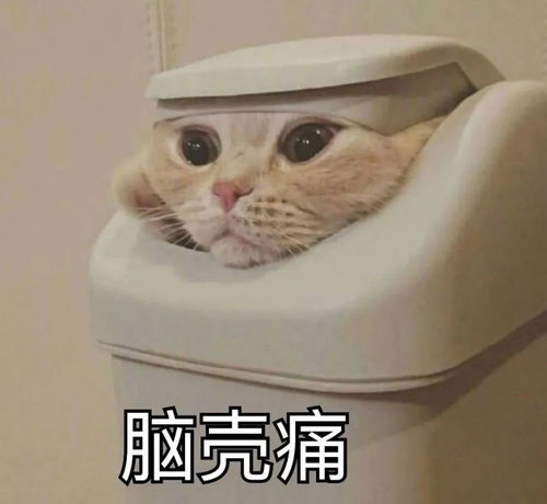 真人实验测试一根棒棒糖,到底能舔多少次