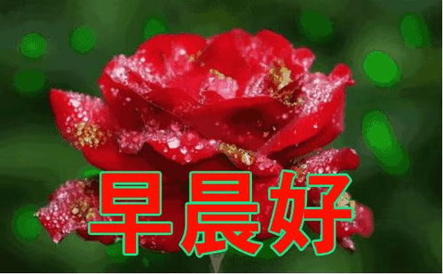 做一个平静的人,做一个微笑挂在嘴边,快乐放在心上的人,早安问候