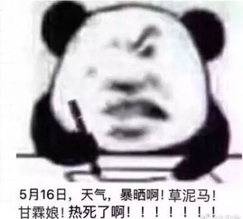 这根本不是初夏的温度太热了的表情包合集