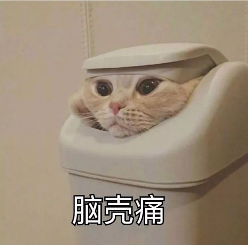 翟天临拒合影被骂臭脸周润发来者不拒,还调皮称粉丝是老板