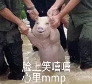 2017年度表情包大赏小猪佩奇,假笑boy,边缘试探.你最爱