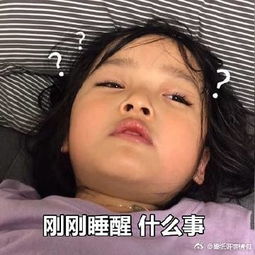 权二律表情包