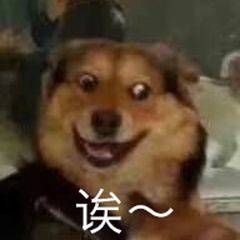 巧了嘛这不是表情包