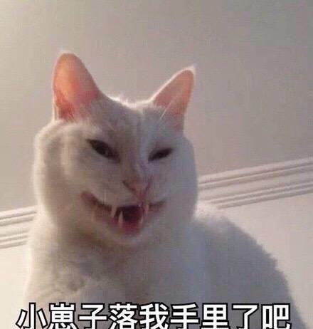 幽默笑话姐姐胖,被公司派外省出差几个月,换了个发型挡住圆脸