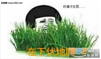 今晚吃鸡大吉大利绝地求生表情包图片死于舔包绝地求生表情包下载乐游网游戏下载