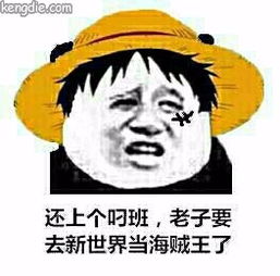 求一张我要当海贼王了的图片脸是张学友表情包的