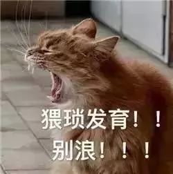 留学若是场王者荣耀,你现在是什么段位