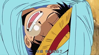 海贼王417