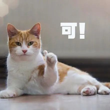 研究生考选调有哪些优势