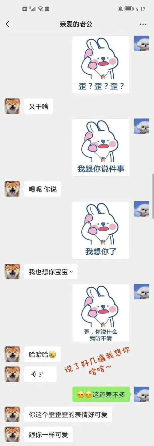 和对象聊天时发过的表情包,太好笑了吧哈哈哈哈